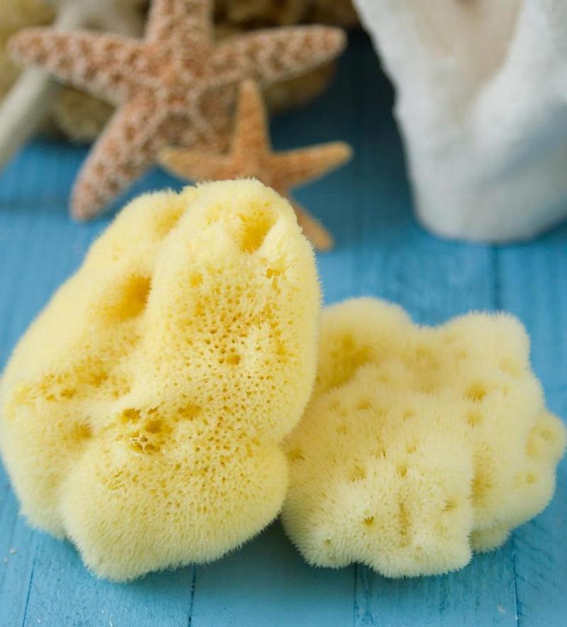 Mediterranean or Caribbean Sea Sponges? - The Natural Intimacy Brand